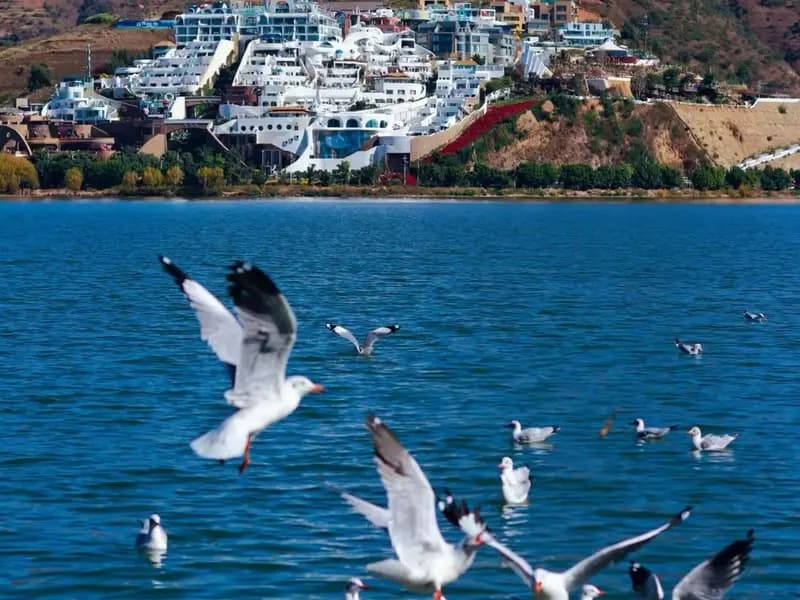 What Are the Best Views of Erhai Lake?