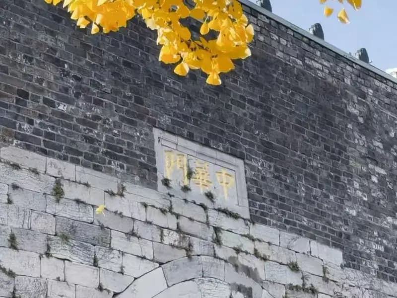 What to See at Nanjing City Wall & Zhonghua Gate?