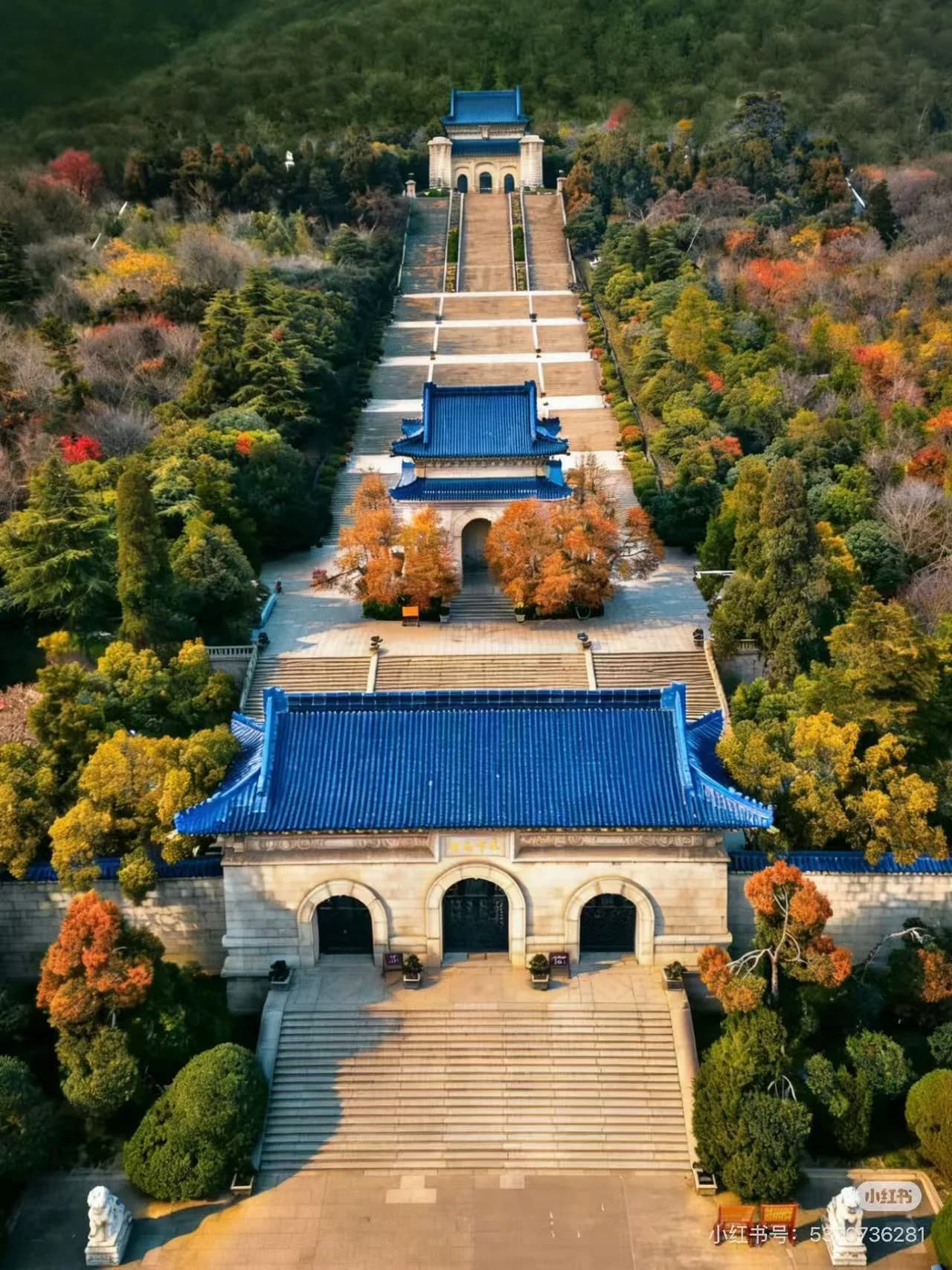 Stone steps of Sun Yat-sen Mausoleum ascending through green trees toward the memorial hall