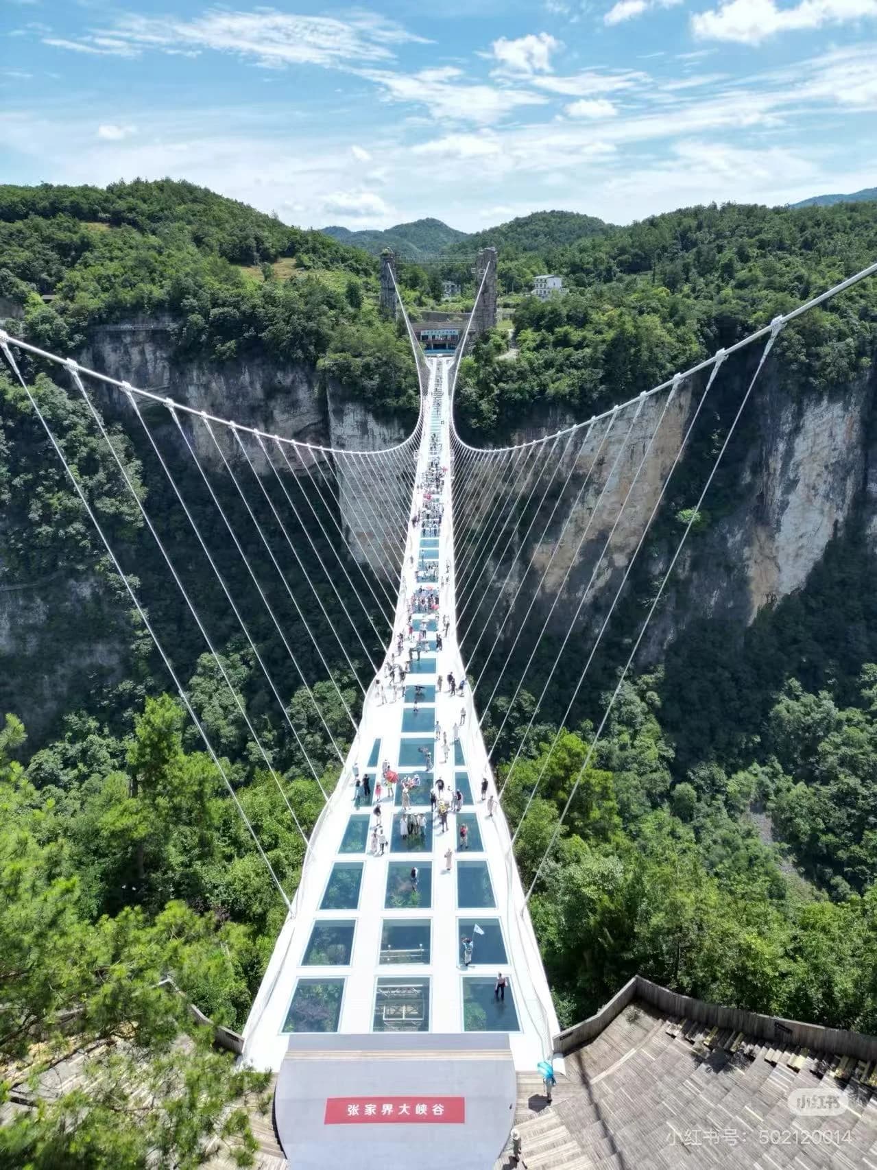 Zhangjiajie Grand Canyon Glass Bridge—a 430-meter glass-bottomed suspension bridge over a canyon roughly 300 meters below
