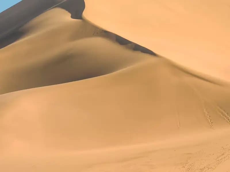 What to Know About Camel Riding at Mingsha Dunes?