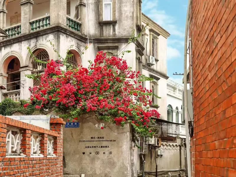 What Will You See on the Gulangyu Architecture Walk?
