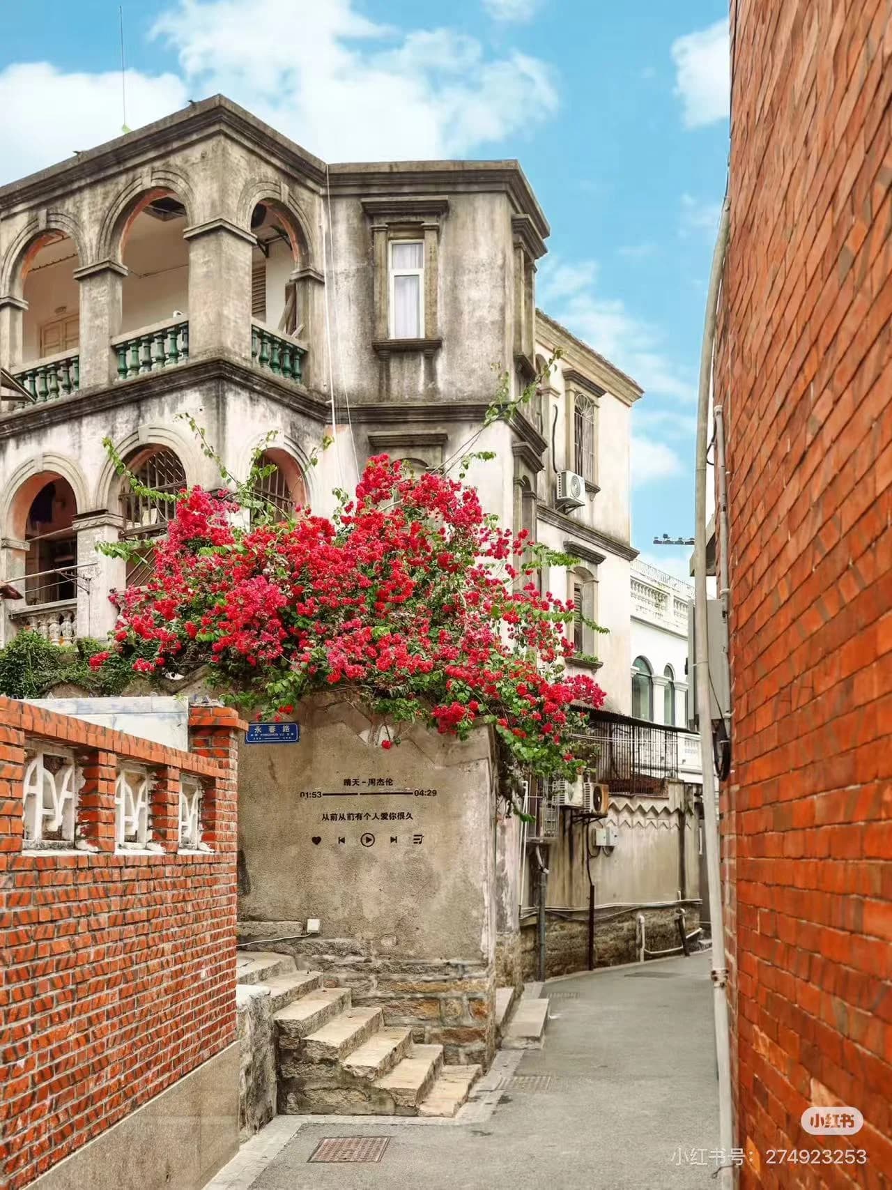 Stone-lined pathway on Gulangyu Island with century-old colonial buildings featuring ivy-covered walls and mixed architectural styles