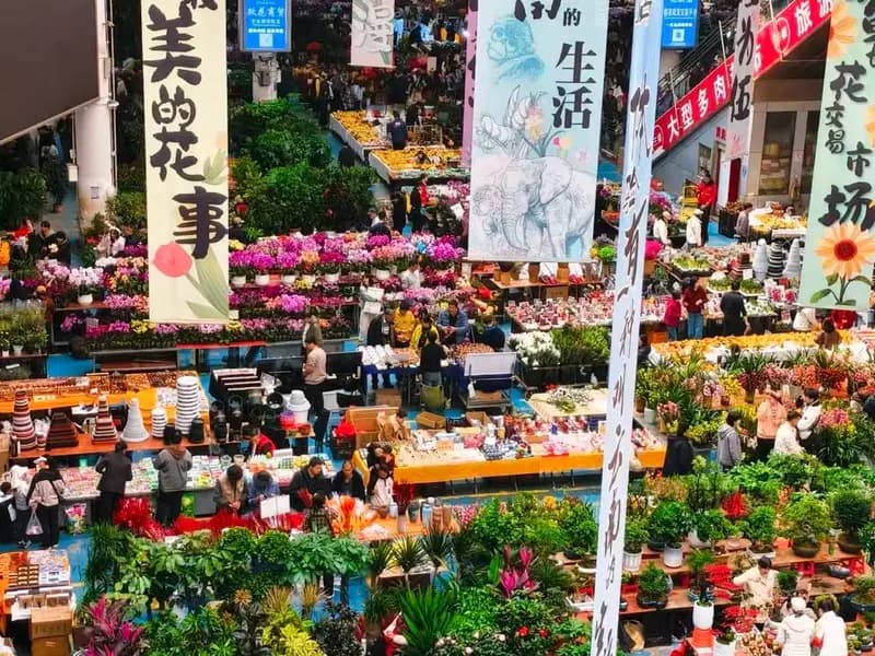 What to Eat at the Dounan Flower Market in Kunming?