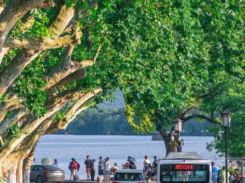 West Lake on Foot or by Bike: Which Stretch, How to Do It