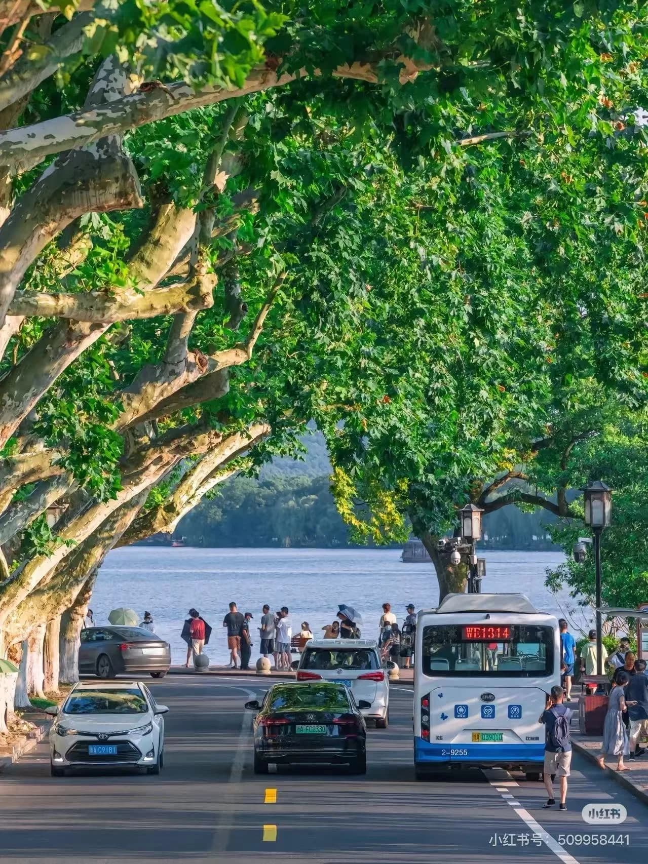 Travel guide image for  - ViaCHN.