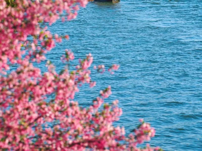 East China 2-Week Itinerary: Shanghai, Hangzhou, Suzhou and Nanjing