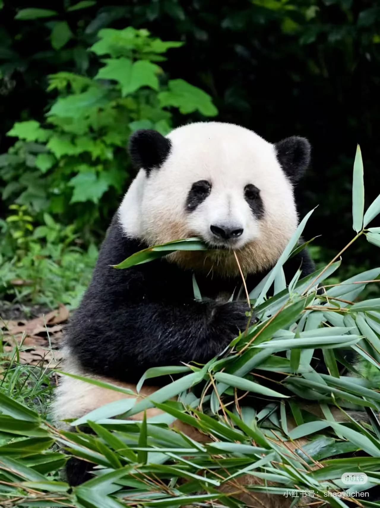 One Month in China: In-Depth Itinerary for Slow Travel