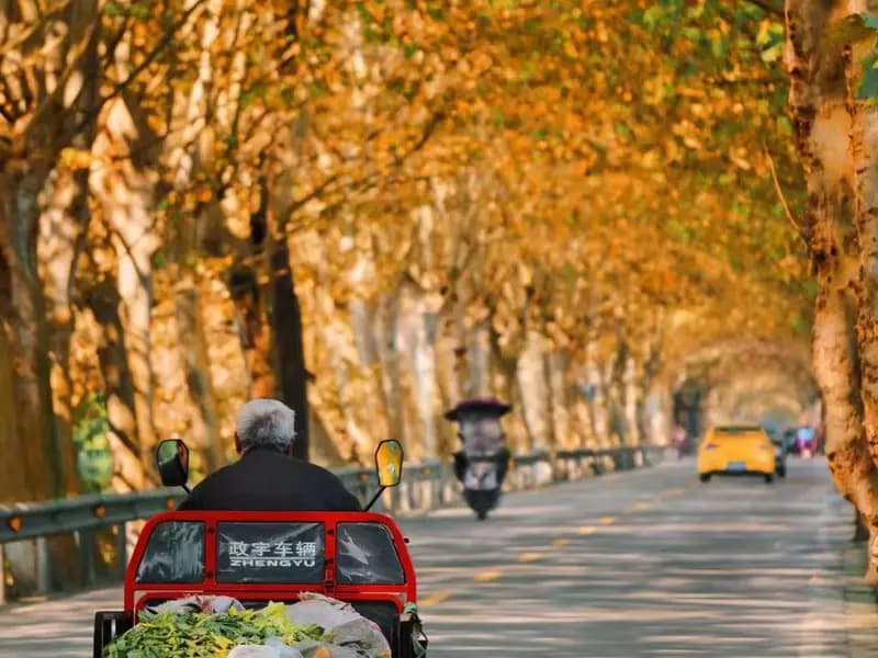 Chengdu in Autumn: Tea, Mahjong, Shizi Lane, and the Slow Season