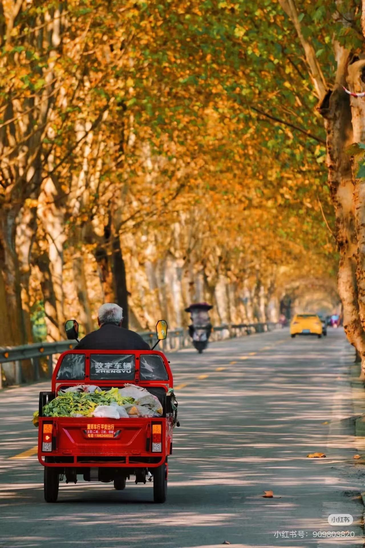 Chengdu in Autumn: Tea, Mahjong, Shizi Lane, and the Slow Season