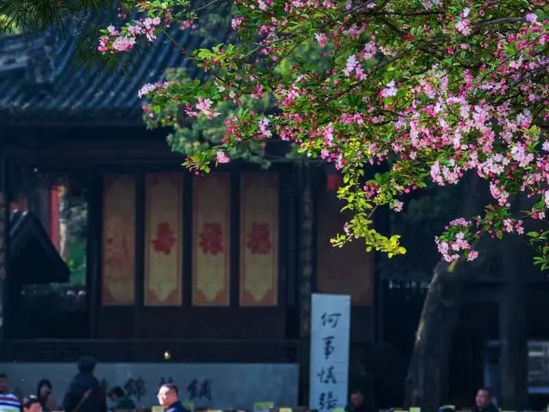Chengdu in Spring: Pandas, Teahouses, and Heat That Doesn’t Overwhelm