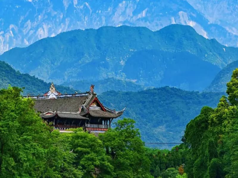 How to Enjoy Chengdu in Summer?