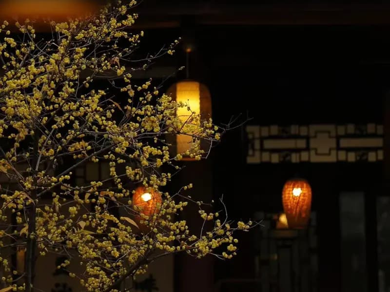 Chengdu in Winter: Best Season for Pandas and Hotpot