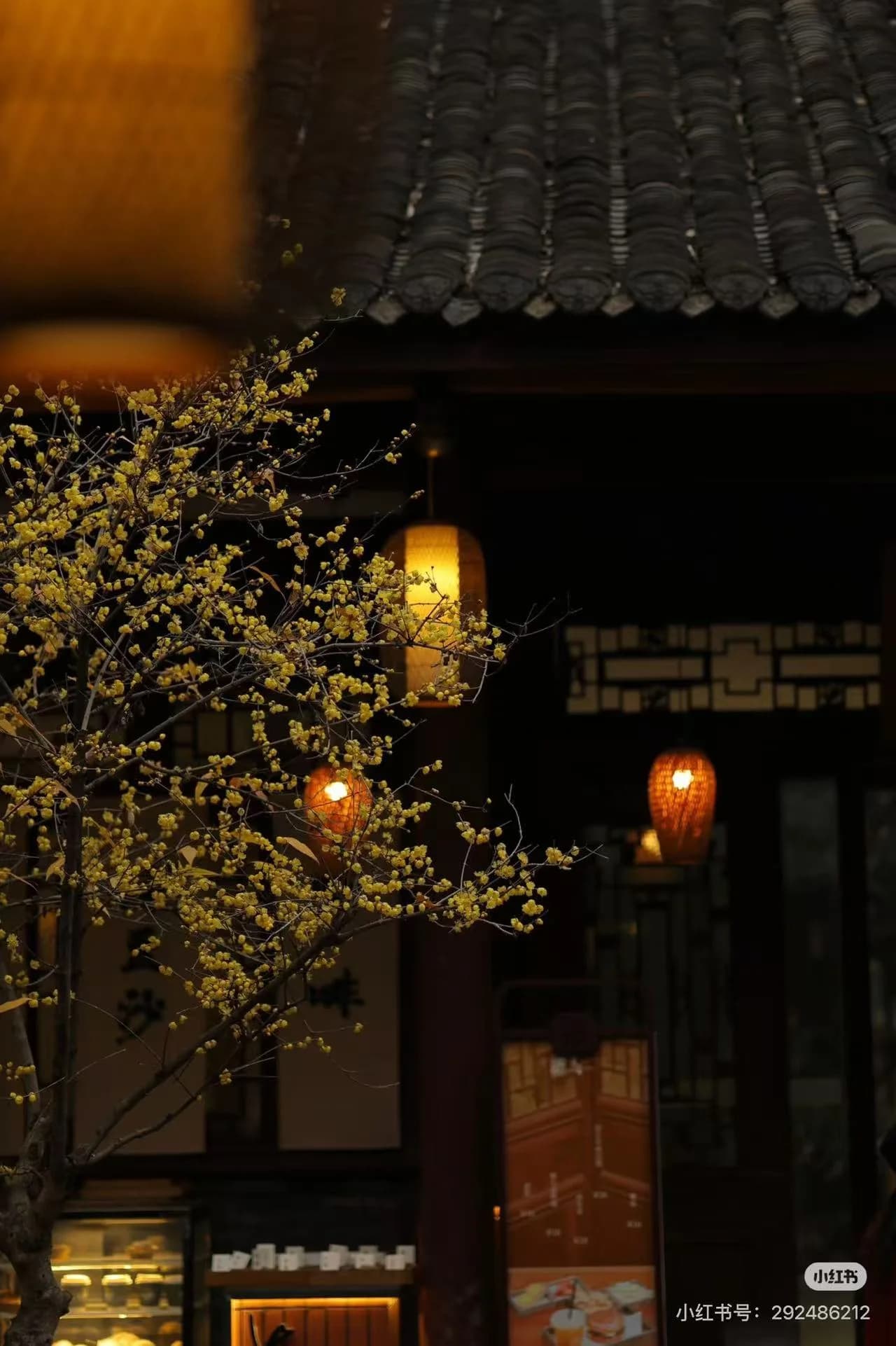 Chengdu in Winter: Best Season for Pandas and Hotpot