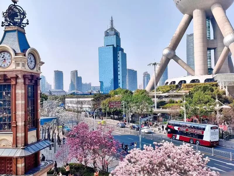What to See in Shanghai in Spring?