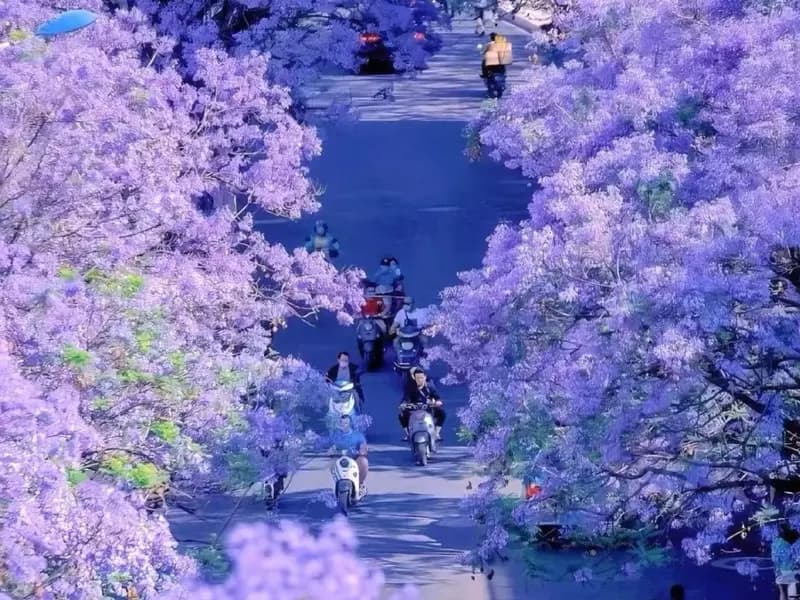 What to See in Kunming, the City of Eternal Spring?