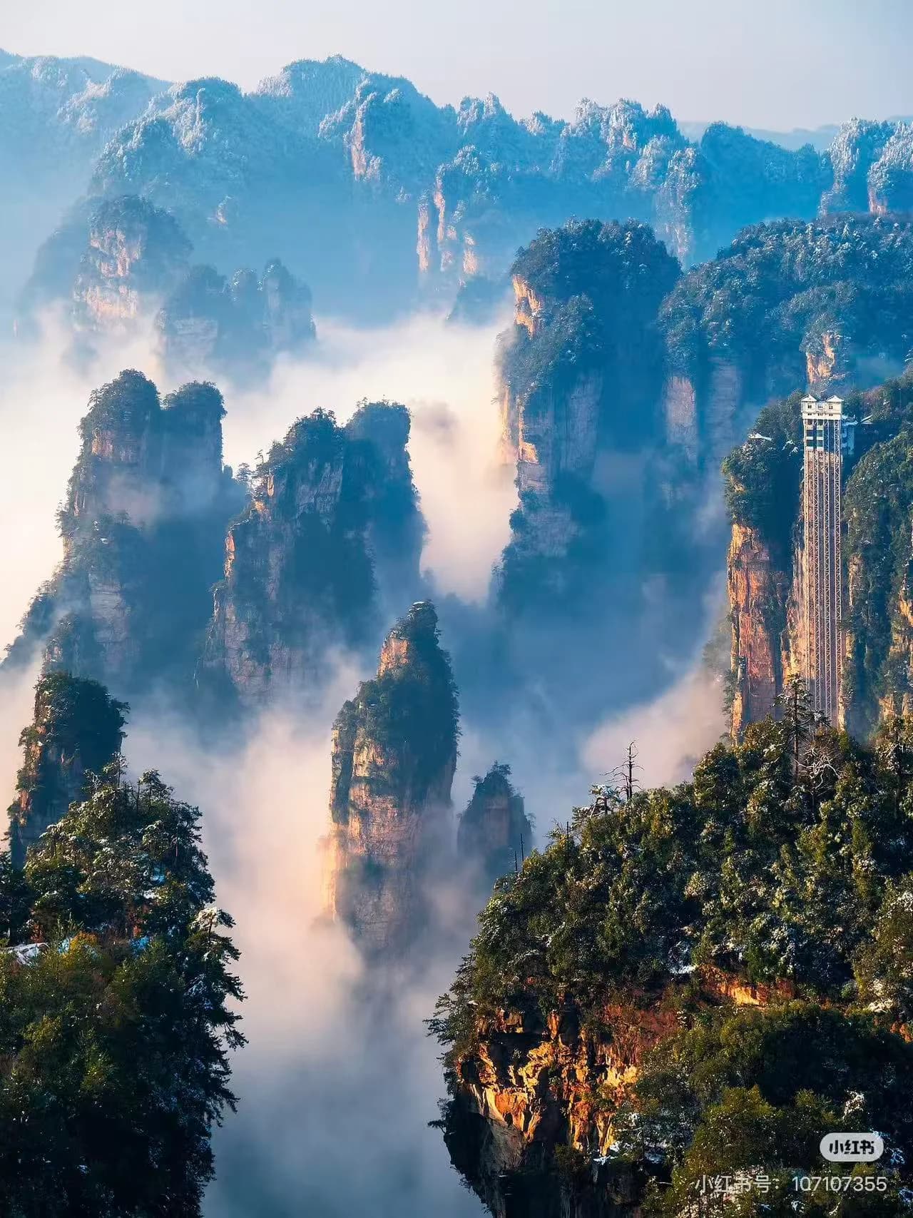 Thousands of sandstone pillars rising from the valley floor in Wulingyuan, Zhangjiajie
