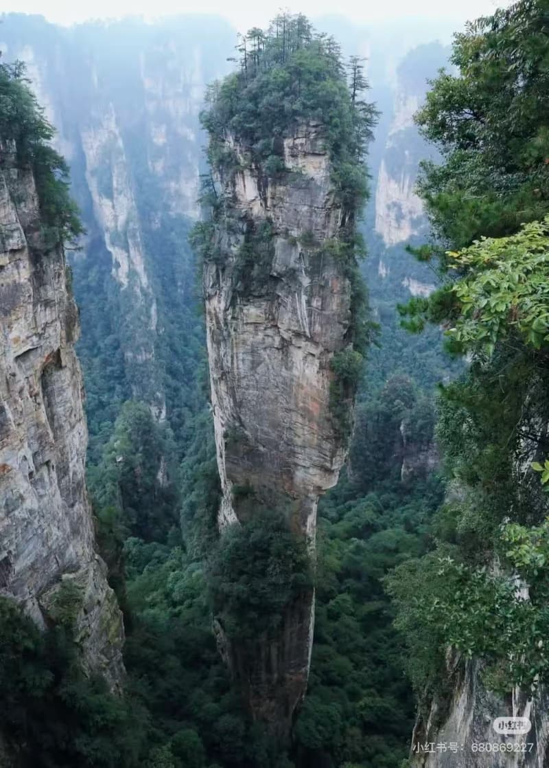 How to Explore Zhangjiajie National Forest Park?
