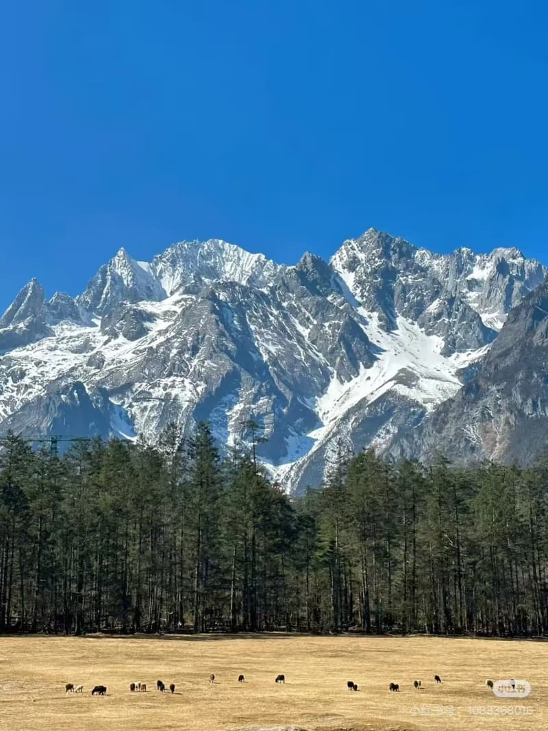 How to Prepare for Jade Dragon Snow Mountain?