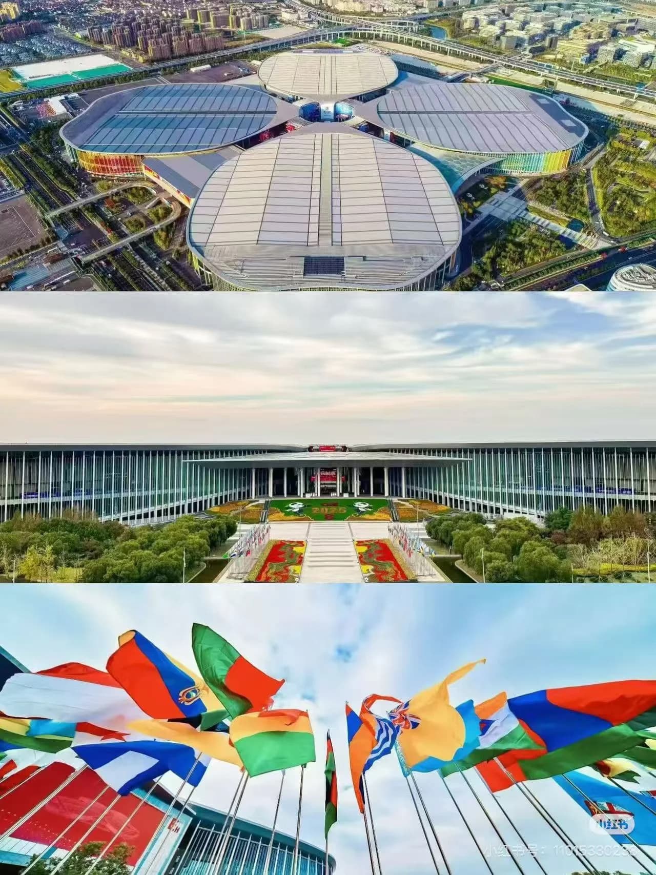 What is the CIIE Shanghai Import Expo?