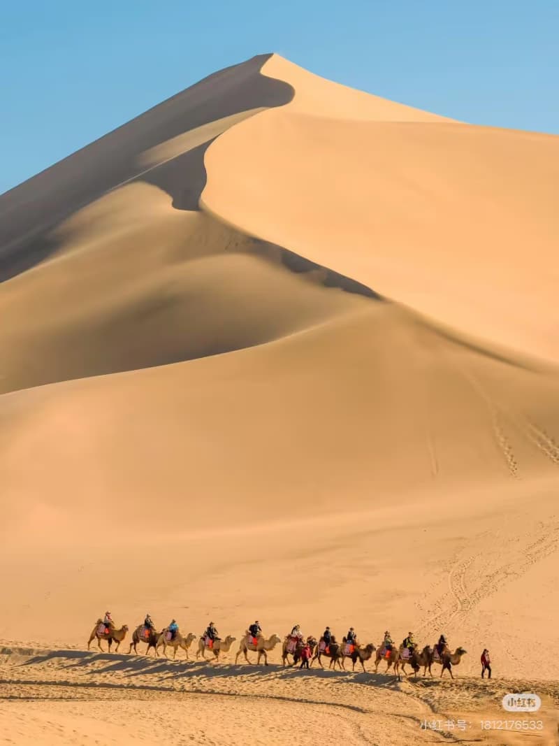What to Know About Camel Riding at Mingsha Dunes?