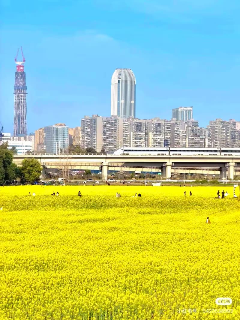When is the Best Time to Visit Chengdu?