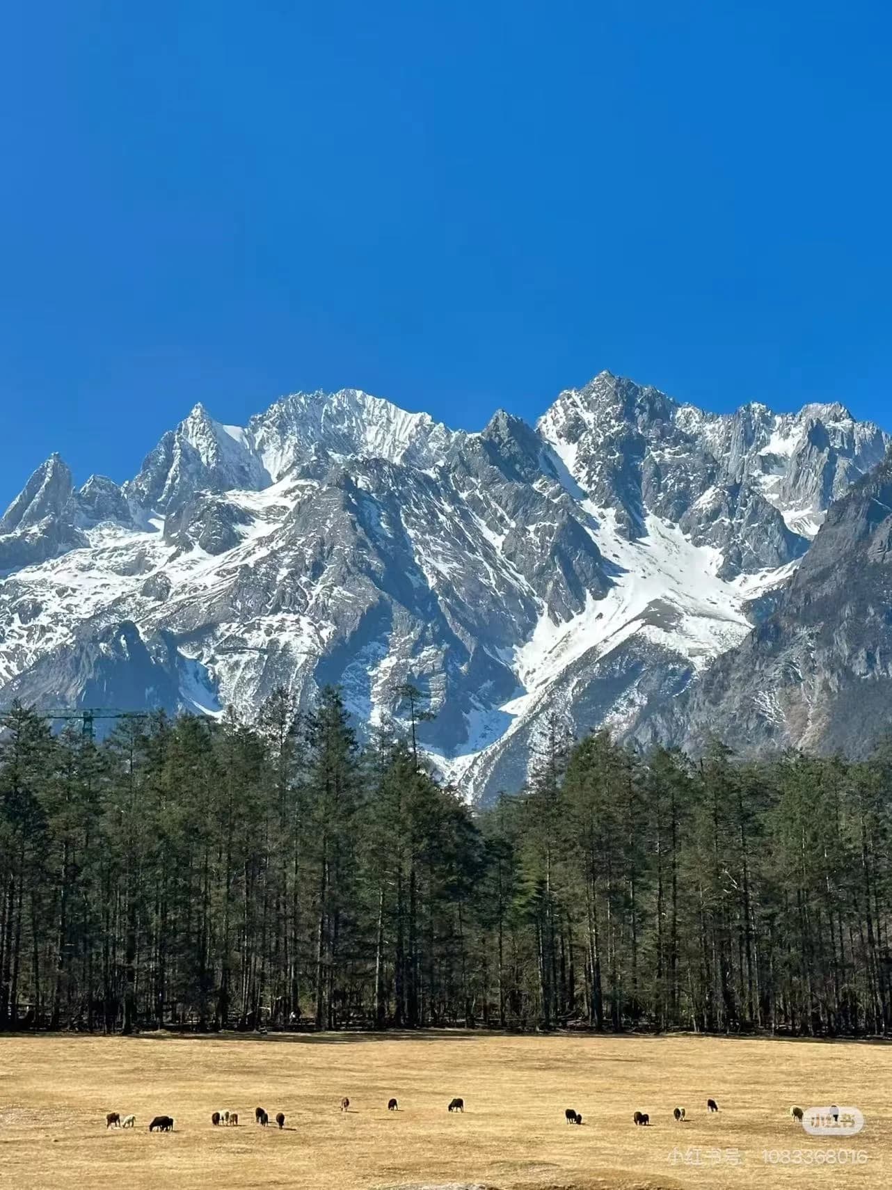 The thirteen snow-capped peaks of Jade Dragon Snow Mountain stretch across a clear blue sky, with the turquoise waters of Blue Moon Valley visible in the valley below