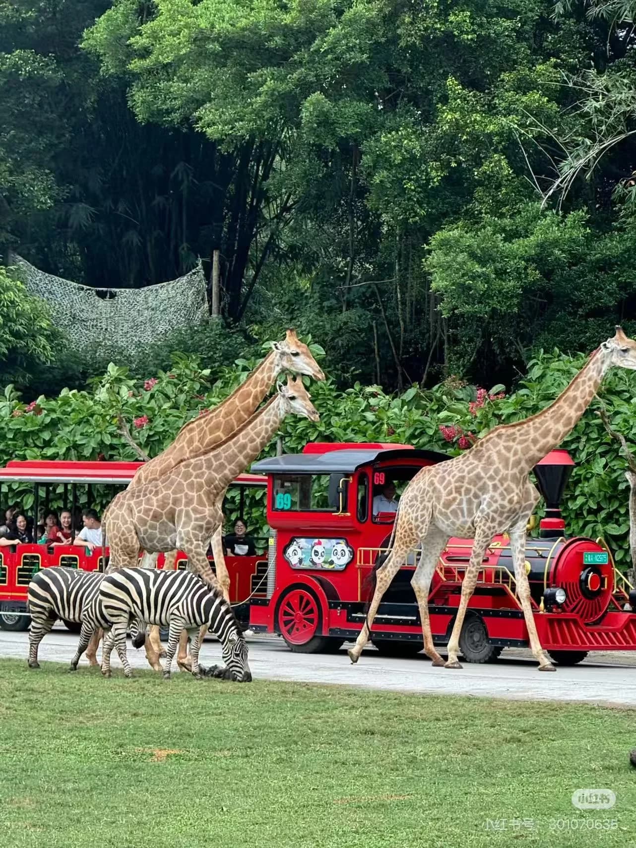 Detailed view of , a top-rated attraction in China.
