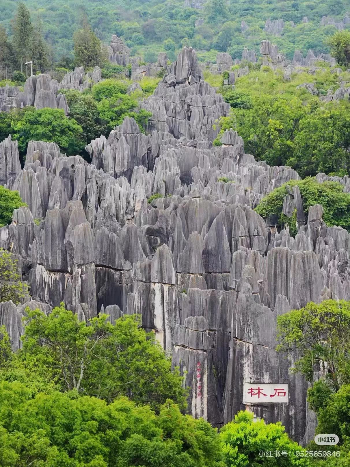 Detailed view of , a top-rated attraction in China.