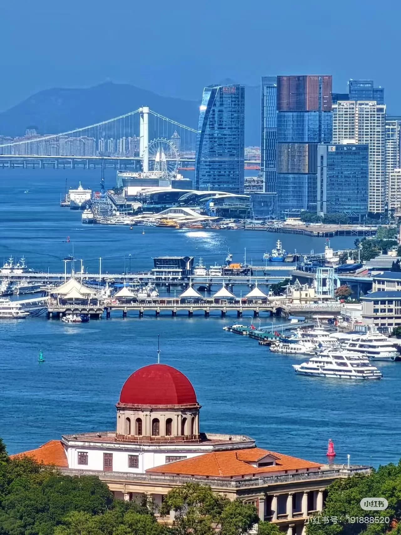 Xiamen coastal skyline with colonial buildings and tropical greenery along the waterfront