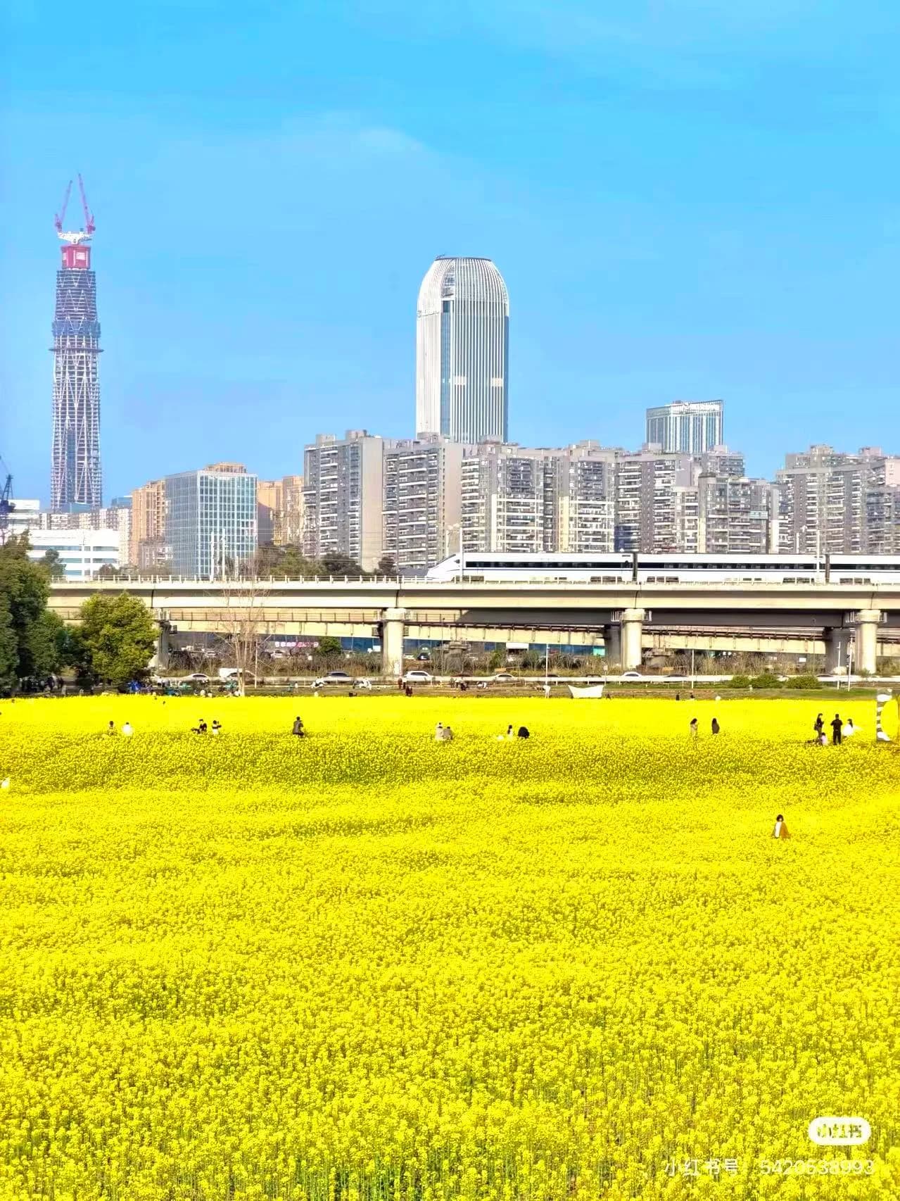 When is the Best Time to Visit Chengdu?